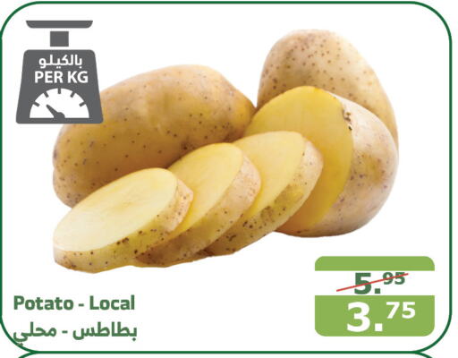  Potato  in Al Raya in KSA, Saudi Arabia, Saudi - Jeddah