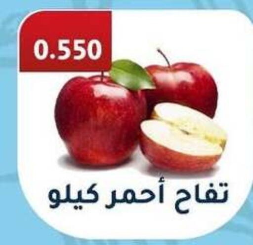  Apples  in Al Fahaheel Co - Op Society in Kuwait - Kuwait City