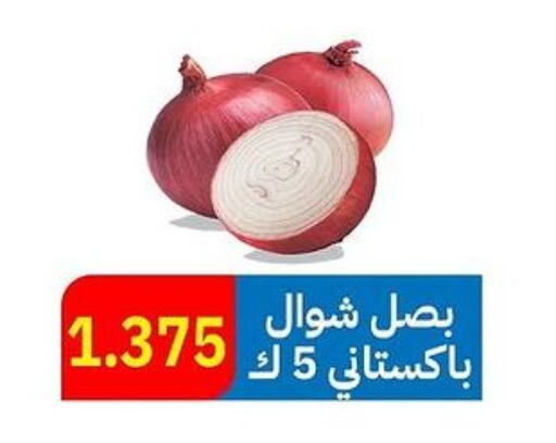 Onion