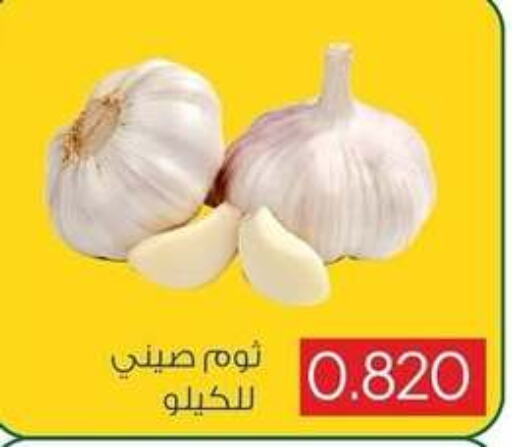  Garlic  in Sabah Al Salem Co op in Kuwait - Kuwait City