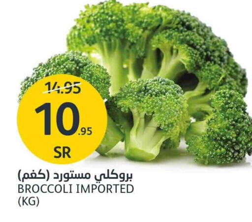  Broccoli  in AlJazera Shopping Center in KSA, Saudi Arabia, Saudi - Riyadh