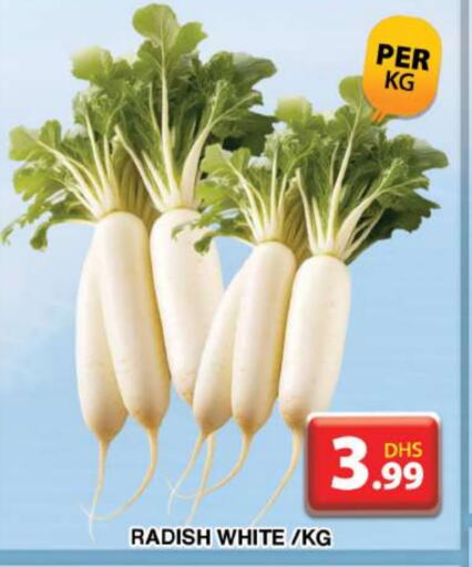  Radish  in Grand Hyper Market in UAE - Dubai