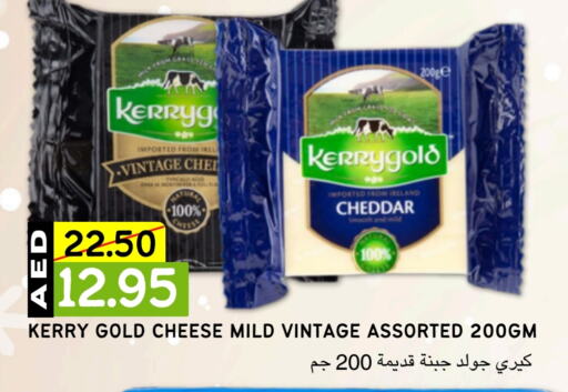  جبنة الشيدر  in Select Market  in الإمارات العربية المتحدة , الامارات - أبو ظبي