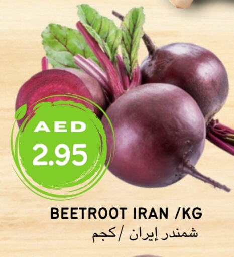  شمندر  in Select Market  in الإمارات العربية المتحدة , الامارات - أبو ظبي