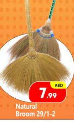  Cleaning Aid  in BIGmart in UAE - Abu Dhabi