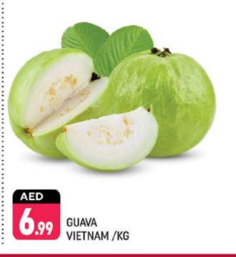  Guava  in Shaklan  in UAE - Dubai