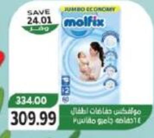 MOLFIX   in The Mart  in Egypt - Cairo