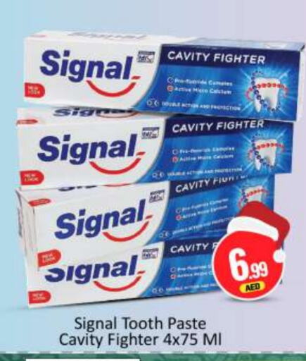 SIGNAL Toothpaste  in BIGmart in UAE - Abu Dhabi