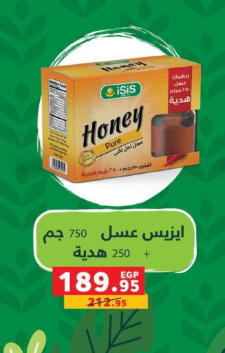  Honey  in Panda  in Egypt - Cairo