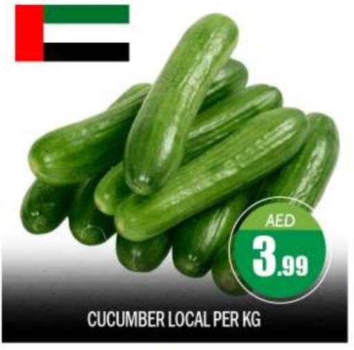  Cucumber  in BIGmart in UAE - Abu Dhabi