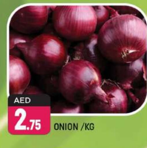  Onion  in Shaklan  in UAE - Dubai