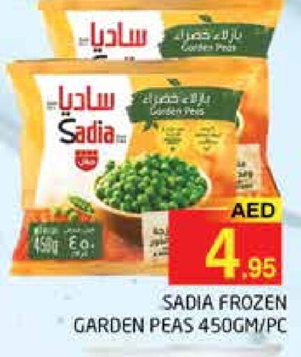 SADIA   in PASONS GROUP in UAE - Dubai