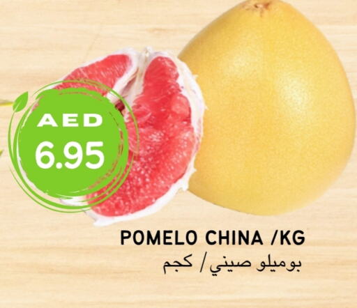    in Select Market  in الإمارات العربية المتحدة , الامارات - أبو ظبي