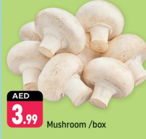  Mushroom  in Shaklan  in UAE - Dubai