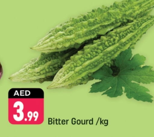  Bitter Gourd  in Shaklan  in UAE - Dubai