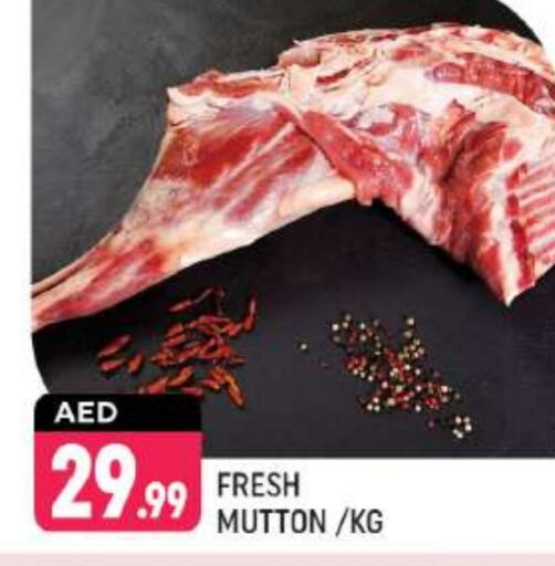  Mutton / Lamb  in Shaklan  in UAE - Dubai