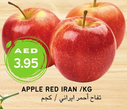  تفاح  in Select Market  in الإمارات العربية المتحدة , الامارات - أبو ظبي