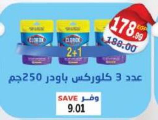 CLOROX General Cleaner  in The Mart  in Egypt - Cairo