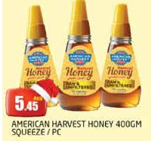  Honey  in PASONS GROUP in UAE - Dubai