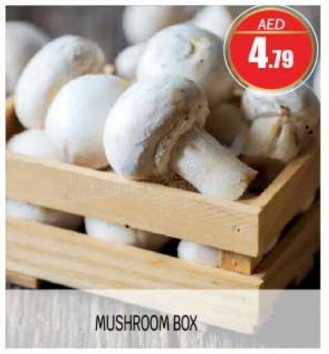  Mushroom  in BIGmart in UAE - Abu Dhabi