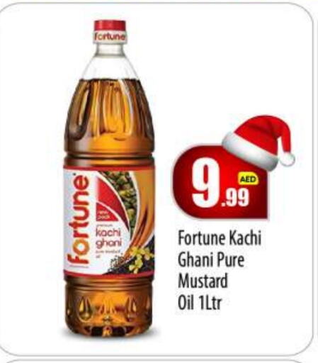 FORTUNE Mustard Oil  in BIGmart in UAE - Abu Dhabi