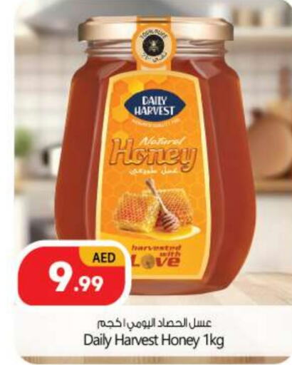  Honey  in BIGmart in UAE - Abu Dhabi