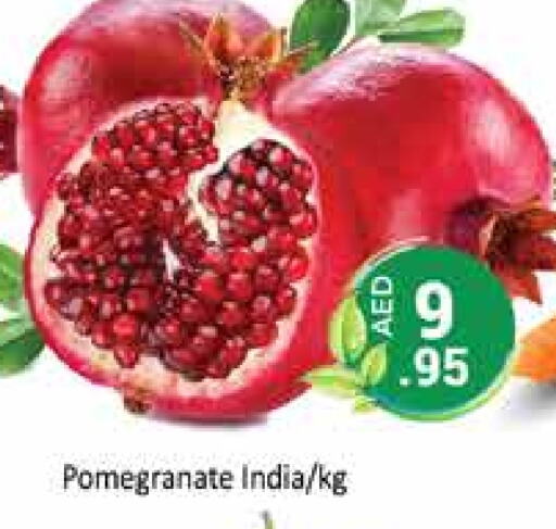  Pomegranate  in PASONS GROUP in UAE - Dubai