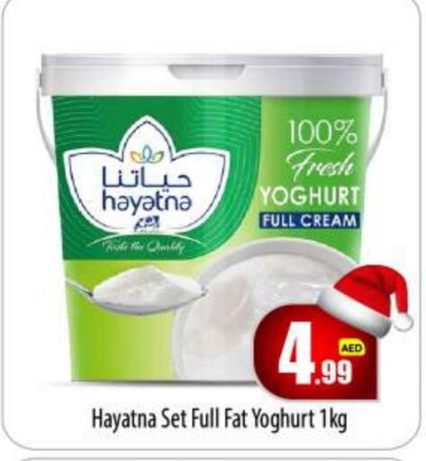 HAYATNA Yoghurt  in BIGmart in UAE - Abu Dhabi