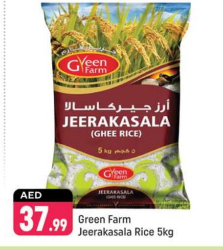  Jeerakasala Rice  in Shaklan  in UAE - Dubai