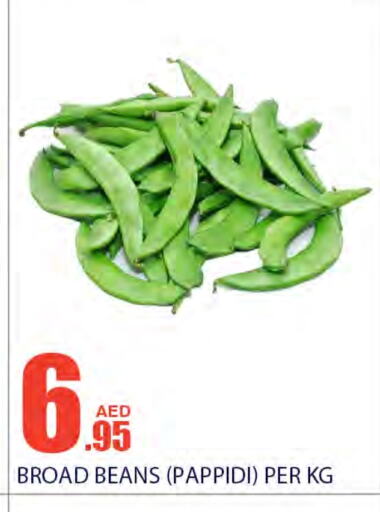  Beans  in Bismi Wholesale in UAE - Dubai