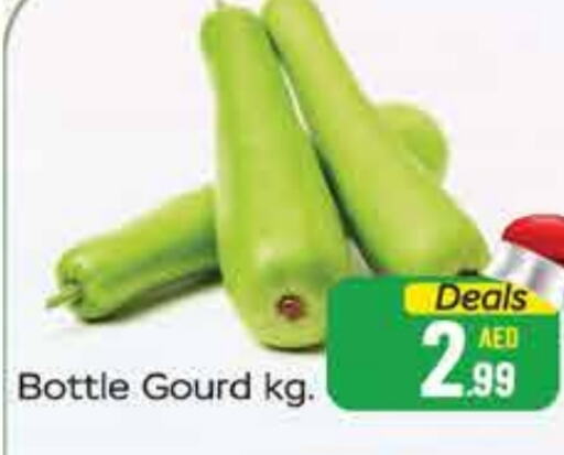  Gourd  in FOODZONE SUPERMARKET in UAE - Ras al Khaimah