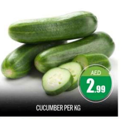  Cucumber  in BIGmart in UAE - Abu Dhabi