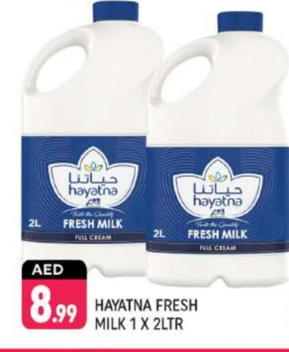 HAYATNA Fresh Milk  in Shaklan  in UAE - Dubai