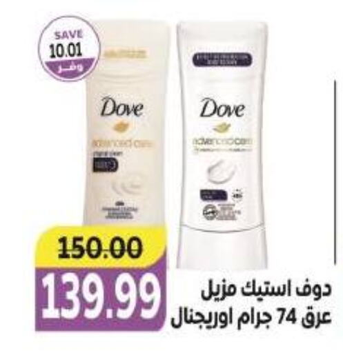 DOVE   in The Mart  in Egypt - Cairo