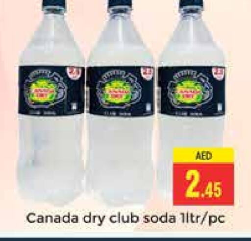 CANADA DRY   in PASONS GROUP in UAE - Dubai