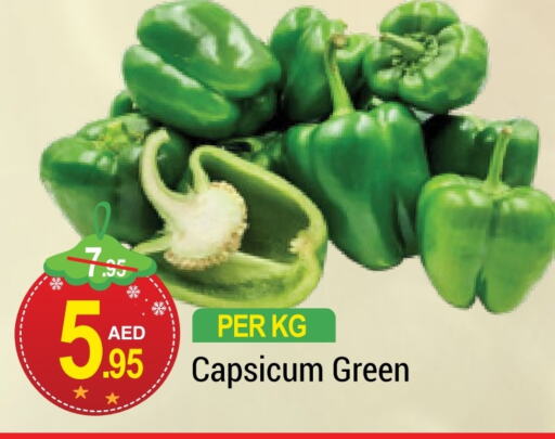  Chilli / Capsicum  in NEW W MART SUPERMARKET  in UAE - Dubai