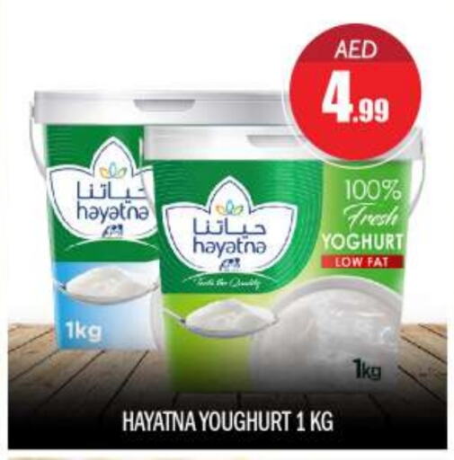 HAYATNA Yoghurt  in BIGmart in UAE - Abu Dhabi