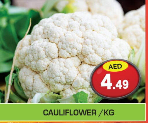  Cauliflower  in Baniyas Spike  in UAE - Umm al Quwain