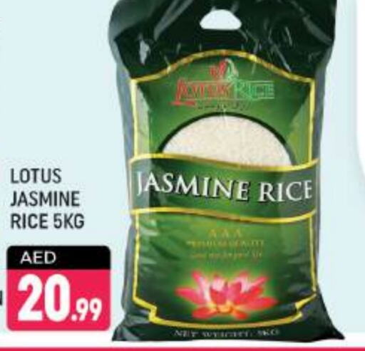  Jasmine Rice  in Shaklan  in UAE - Dubai