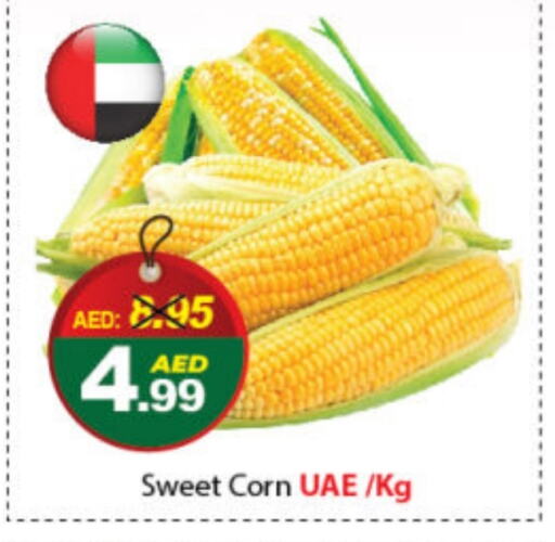    in DESERT FRESH MARKET  in UAE - Abu Dhabi