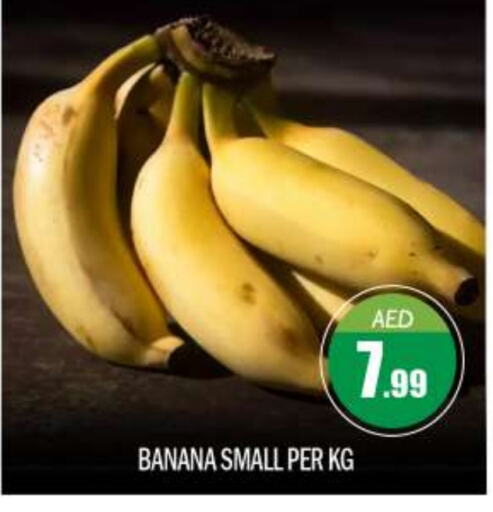  Banana  in BIGmart in UAE - Abu Dhabi