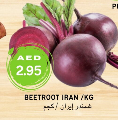  شمندر  in Select Market  in الإمارات العربية المتحدة , الامارات - أبو ظبي