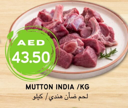  لحم الضأن / الغنم  in Select Market  in الإمارات العربية المتحدة , الامارات - أبو ظبي