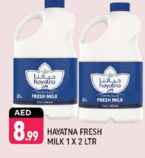 HAYATNA Fresh Milk  in Shaklan  in UAE - Dubai