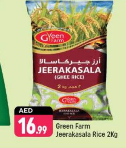  Jeerakasala Rice  in Shaklan  in UAE - Dubai