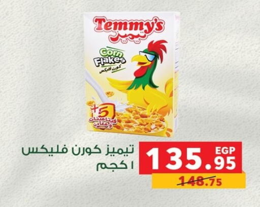 TEMMYS Corn Flakes  in Panda  in Egypt - Cairo