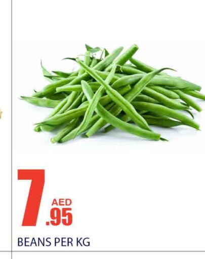  Beans  in Bismi Wholesale in UAE - Dubai