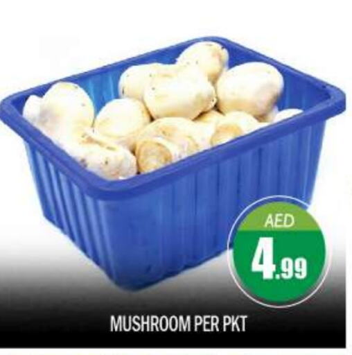  Mushroom  in BIGmart in UAE - Abu Dhabi