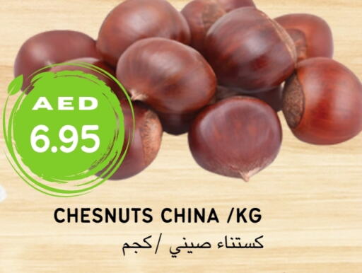    in Select Market  in الإمارات العربية المتحدة , الامارات - أبو ظبي