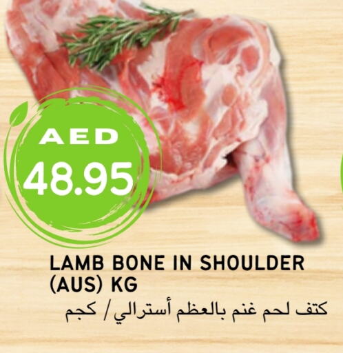  لحم الضأن / الغنم  in Select Market  in الإمارات العربية المتحدة , الامارات - أبو ظبي